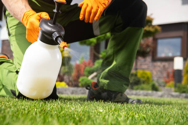 Trusted Mead, WA Pest Control Experts