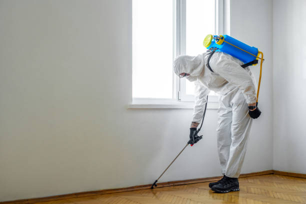 Best Ant Control Services  in Mead, WA