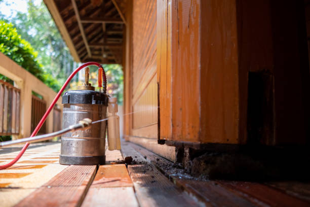 Insect Control in Mead, WA