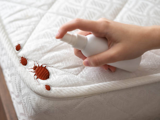 Best Pest Control Near Me  in Mead, WA