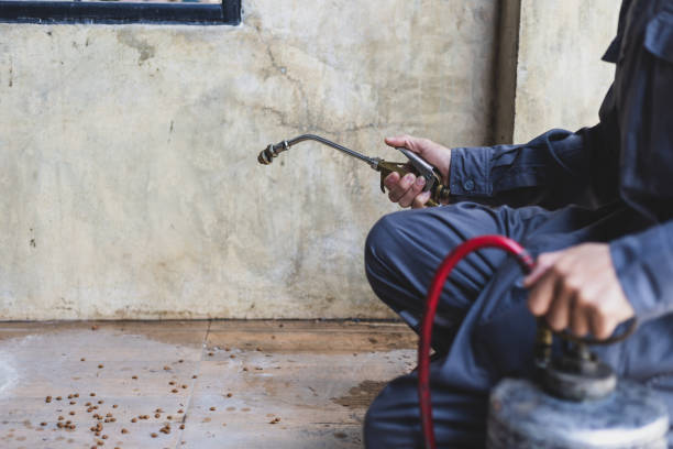 Best Best Pest Control Companies  in Mead, WA
